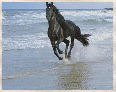 81% OFF on Painting Without Frame Canvas Art 81% OFF on Painting Without Frame Canvas Art