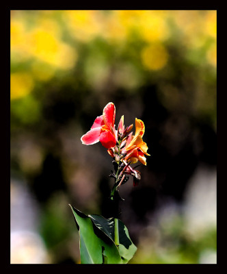 50% OFF on Colourful and Paper Print 50% OFF on Colourful and Paper Print