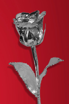 50% OFF on Giftz Natural Silver Plated Rose 6 inch