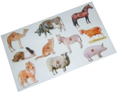 Kido Name the Pet Animals Kido Name the Pet Animals