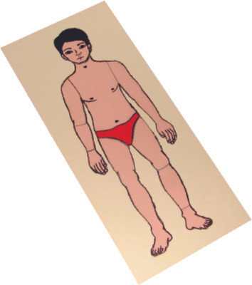 10% OFF on Kido Puzzle Parts of Body 10% OFF on Kido Puzzle Parts of Body