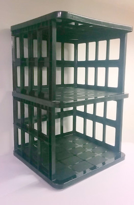 Joy Plastic Wall Shelf Number of Shelves - 2, Green Joy Plastic Wall Shelf Number of Shelves - 2, Green