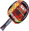 GKI Euro Star Table Tennis Racquet: Racquet