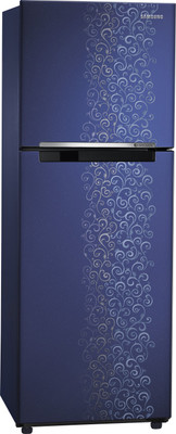 Samsung 253 L Frost Free Double Door Refrigerator (RT27JSRZAUT/TL, Pebble Blue) 