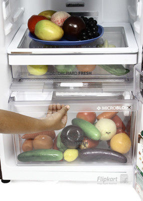 Whirlpool 265 L Frost Free Double Door Refrigerator (NEO FR278 ROY 3S, Wine Gloria) 
