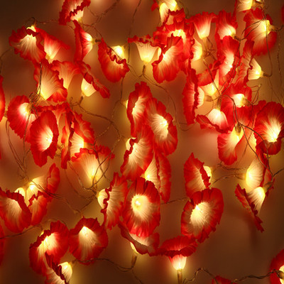 10% OFF on Ghasitaram Gifts 8 inch Multicolor Rice Lights Pack of 1 10% OFF on Ghasitaram Gifts 8 inch Multicolor Rice Lights Pack of 1