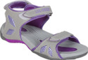 Website Basic Appeal Sports Sandals