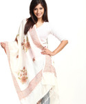60% OFF on Aapno Rajasthan Embroidered Pashmina Women's Scarf 60% OFF on Aapno Rajasthan Embroidered Pashmina Women's Scarf