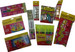 Creations School Set