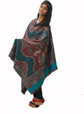 79% OFF on Unnati Wool Printed Women's Shawl