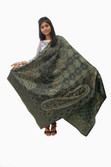 79% OFF on Unnati Wool Printed Women's Shawl