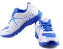 Lancer Blue Running Shoes Lancer Blue Running Shoes