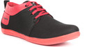 10% OFF on Golden Sparrow Trendy Casual Shoes 10% OFF on Golden Sparrow Trendy Casual Shoes