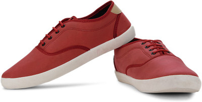 20% OFF on Globalite Stellar Sneakers 20% OFF on Globalite Stellar Sneakers
