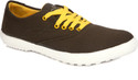 65% OFF on 100 Walker Ai-503 Canvas Shoes