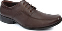 Series Pious Lace Up Shoes