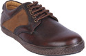Le Fore Daring Brown Leather Sneakers