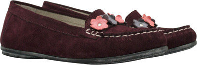 50% OFF on VAPH Girl Albe