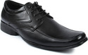 Series Pious Lace Up Shoes
