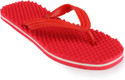 17% OFF on Gouri Acupressure Slippers 17% OFF on Gouri Acupressure Slippers