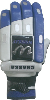 25% OFF on Wombat Chaser Batting Gloves (L, Blue, White) 25% OFF on Wombat Chaser Batting Gloves (L, Blue, White)