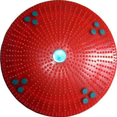 10% OFF on Ancs Acupressure Twister Body Weight Reducer-Disc Equipment Red, Blue Mat