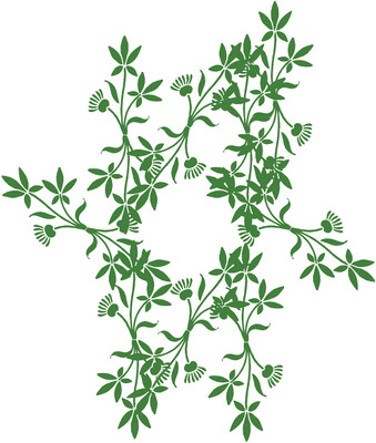 16% OFF on Beautiful Green Leaves Design Poster Paper Print 16% OFF on Beautiful Green Leaves Design Poster Paper Print