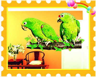 33% OFF on Pindia Parrots Wall Sticker 33% OFF on Pindia Parrots Wall Sticker