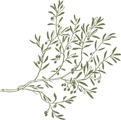 16% OFF on Green Leaves Poster Paper Print 16% OFF on Green Leaves Poster Paper Print