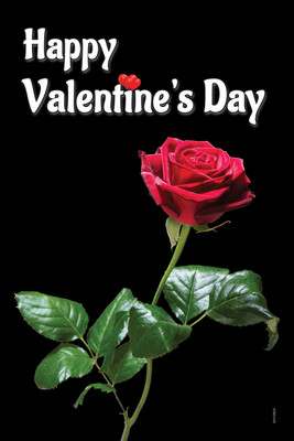 16% OFF on Poster - Happy Valentine with Red Rose Paper Print