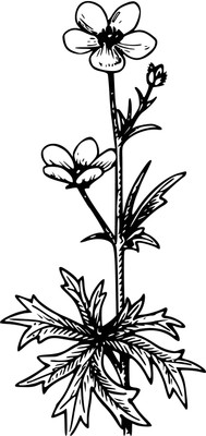 16% OFF on Classic Tree Design Poster Paper Print 16% OFF on Classic Tree Design Poster Paper Print