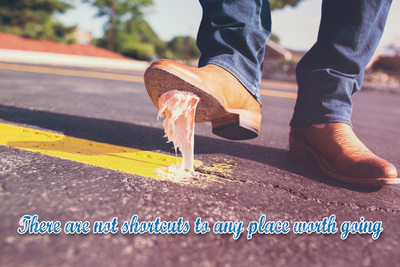 16% OFF on There Are No Shortcuts Poster Paper Print