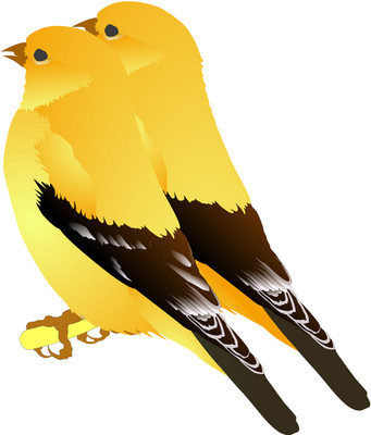 16% OFF on Artful Poster Of Birds Sitting Together Paper Print 16% OFF on Artful Poster Of Birds Sitting Together Paper Print