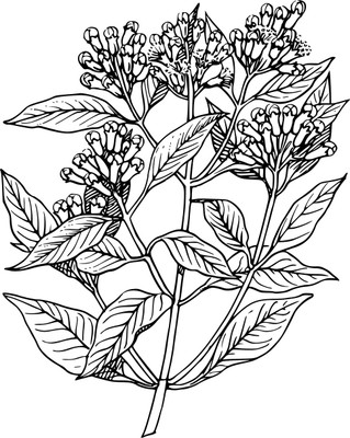 16% OFF on Classic Black And White Flowers Poster Paper Print 16% OFF on Classic Black And White Flowers Poster Paper Print