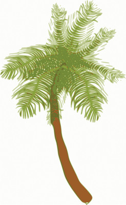 16% OFF on Classic Coconut Tree Poster Paper Print 16% OFF on Classic Coconut Tree Poster Paper Print
