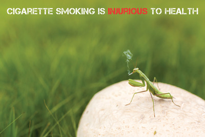 16% OFF on Cigarette Smoking Is Injurious To Health Poster Paper Print 16% OFF on Cigarette Smoking Is Injurious To Health Poster Paper Print