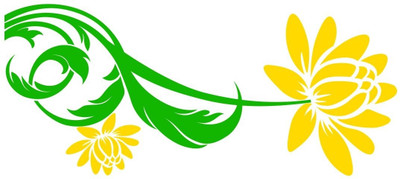 Chipakk Bloomer Wall Decal Small Pigmented Polyvinyl Films Imported Sticker