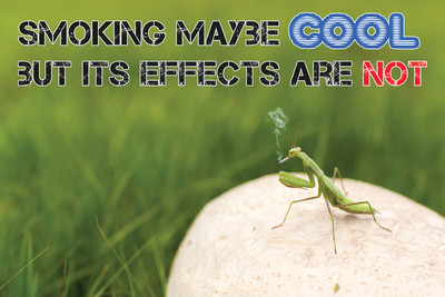 16% OFF on Warning Quote For Smoking Poster Paper Print 16% OFF on Warning Quote For Smoking Poster Paper Print