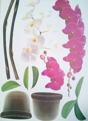 33% OFF on Pindia Flower Pot Design Wall Sticker 33% OFF on Pindia Flower Pot Design Wall Sticker