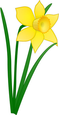 16% OFF on Pretty Yellow Flower Poster Paper Print