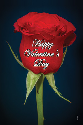 16% OFF on Lovely Red Rose On This Valentine Paper Print