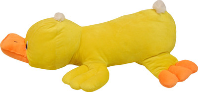35% OFF on Surbhi Chick - 20 cm 35% OFF on Surbhi Chick - 20 cm