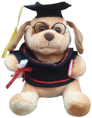 40% OFF on MFT Graduate Teddy - 10 Inch 40% OFF on MFT Graduate Teddy - 10 Inch