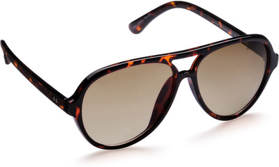 50% OFF on Panache Wanna Be Aviator Sunglasses 50% OFF on Panache Wanna Be Aviator Sunglasses