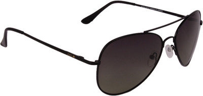 10% OFF on Lee Cooper Aviator Aviator Sunglasses 10% OFF on Lee Cooper Aviator Aviator Sunglasses
