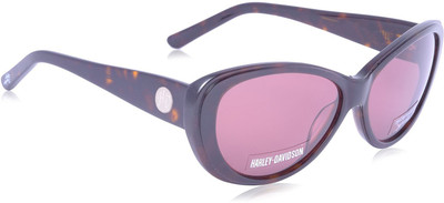 61% OFF on Harley Davidson Cat-eye Sunglasses