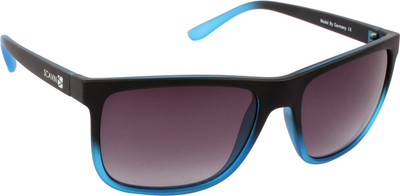 Scavin Wayfarer Sunglasses