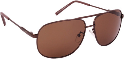 Killer Aviator Sunglasses Killer Aviator Sunglasses