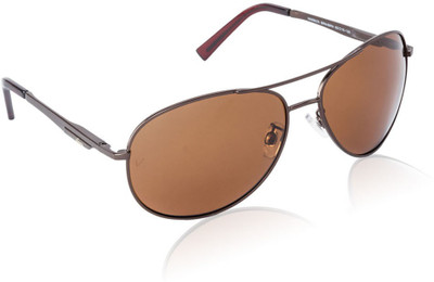 50% OFF on Velocity Aviator Sunglasses 50% OFF on Velocity Aviator Sunglasses