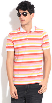 Peter England Striped Men's Polo T-Shirt